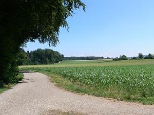 Dorf10